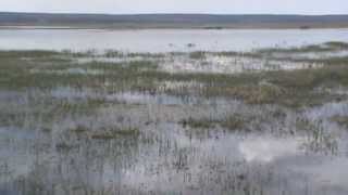 A 7-a evadare - Capitolul 4: Mini-delta din Comana