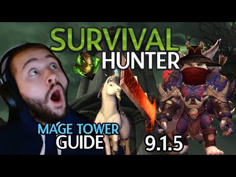 Survival Hunter | Mage Tower Guide | Kill Pov, Talents, Consumables, Tips etc