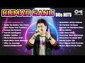 Kumar Sanu Hit Songs 90s Superhit Hindi Romantic Songs Sadabahar Song Bollywood Songs Jukebox