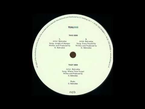 Gacha Bakradze - Where Time Forgot