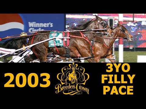 2003 Breeders Crown - Burning Point - 3FP