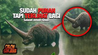 Download lagu MUNCUL LAGI! Semua Orang Mengira Hewan-Hewan Ini Sudah Punah, Tapi Mereka Berhasil Mengejutkan Dunia mp3