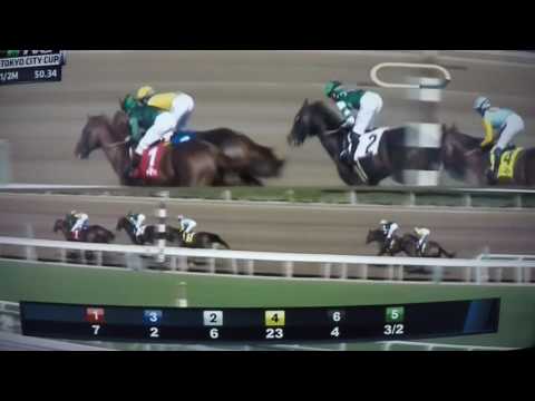 GRADE 3 TOKYO CITY CUP - HARD ACES 2017