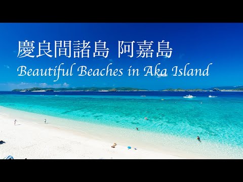 慶良間諸島 阿嘉島のおすすめビーチ・海 4K動画 Beautiful Beaches in Aka Island