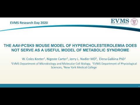 Thumbnail image of video presentation for The AAV-PCSK9 mouse model of hypercholesterolemia does not serve as a useful model of metabolic syndrome