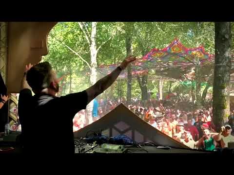 Vibe Tribe @ Insomnia Music & Art Festival 2019