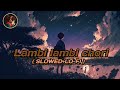 Lambi Lambi Chori Mere Dil Mein Khatke Lofi Lambi Lambi 9 M Views 1 Day Ago