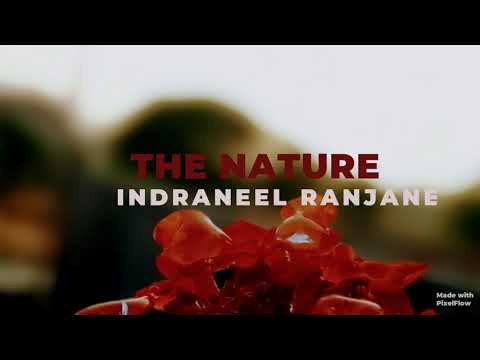 Mobile cinematography , The nature