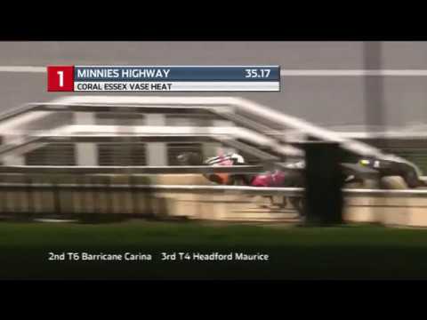 2018 ESSEX VASE - HEAT 3 - T1 MINNIES HIGHWAY