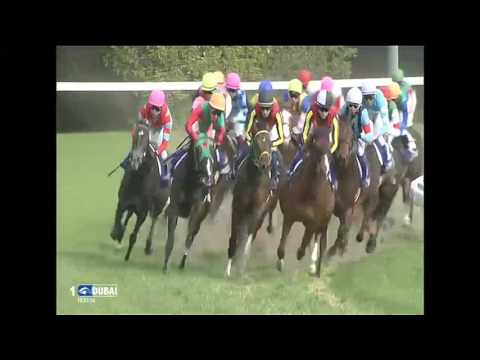 2016.05.08 NHK Mile Cup (JPN) - Major Emblem