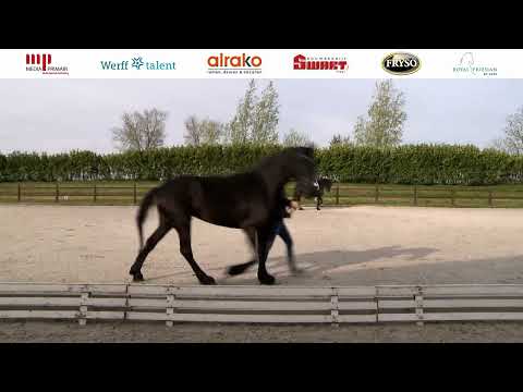 Ibop Wergea | 4 mei 2023