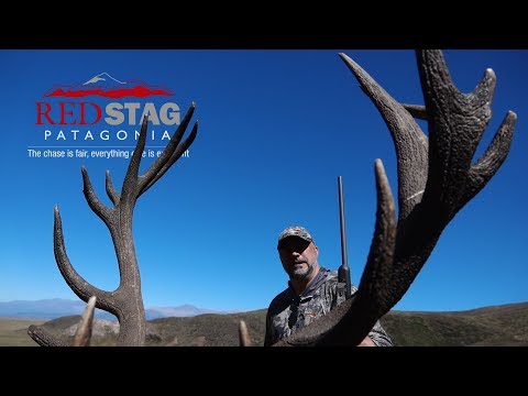 Red Stag Hunting in Tupungato, Mendoza.