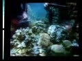 The Seas With Nemo And Friends Ultimate Tribute