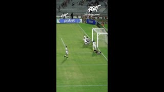NENÊ FAZ GOLAÇO NA VITÓRIA DO BOTAFOGO-PB CONTRA O TREZE!