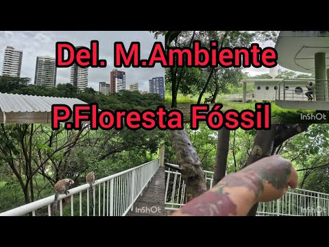 Del. do Meio Ambiente e P. Floresta Fóssil. Teresina Piauí 