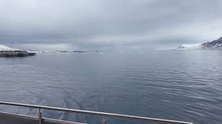 Arctic Wildlife Cruise | MS Bard’s First Voyage North