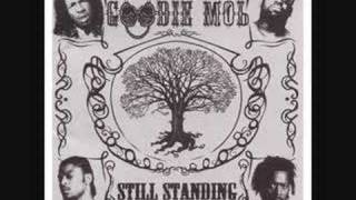 Goodie Mob - See You When I See You