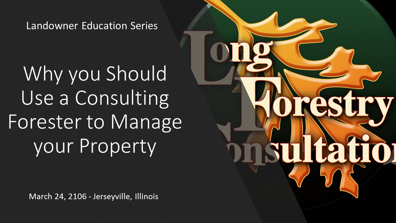 Why To Use a Consulting Forester on a Timber Sale