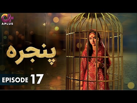 Pakistani Drama | Pinjra - Episode 17 | Aplus Gold | Yumna Zaidi, Nauman Aijaz | CZ1O