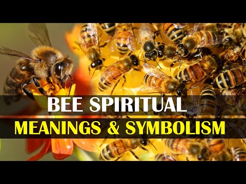 Spiritual Meanings of Bee Spiritual Totem  |  Bee Spiritual Meanings & Symbolism