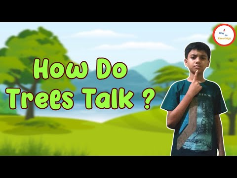 How Do Trees Talk ? | How Do Trees Secretly Talk And Communicate ? | Interesting Facts for Kids
