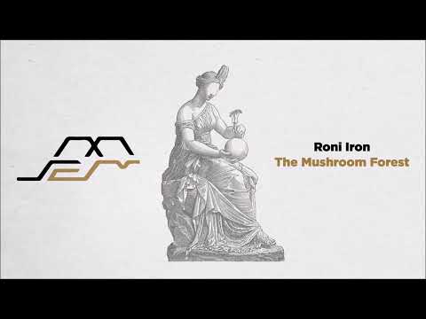 Roni Iron - Nirvana Dreams (Original Mix) [Movement Limited]
