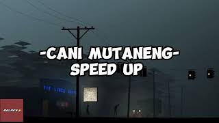 Download lagu Lagu Bugis Cani Mutaneng (Speed Up) || #lagubugis #lagubugisterbaru #lagubugisterpopuler mp3