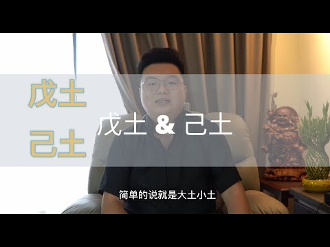 中央戊己土意思