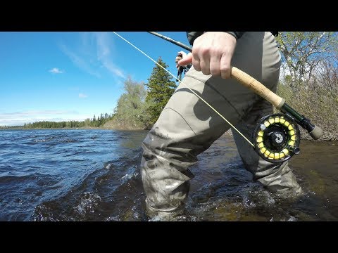Sunshine Pool Gander River -  Panoramic View 4K (June 10th, 2017)