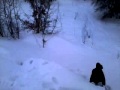 5-Б класс супер паркур)) 