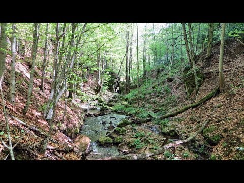 12 Mineral Springs in the Micfalău - Bixad Area (Covasna County, Romania)