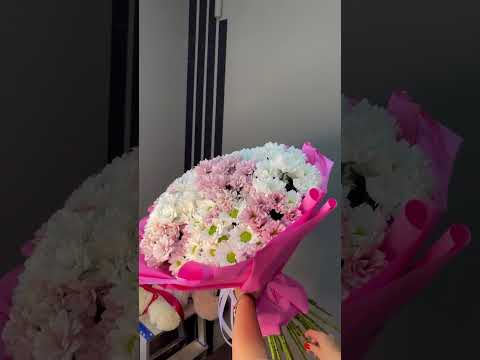Видео: 31 цветная хризантемма
