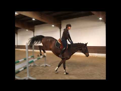 C-MINION 7j. Holst. v. Carnot - Quidam de Revel - for sale