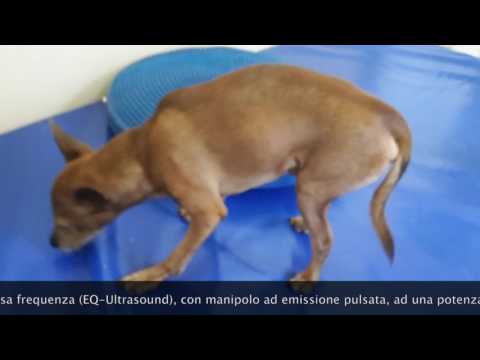 Dolore dietro lorecchio per il collo sul lato sinistro Neonati dellanca