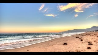 Antony Hegarty - The Lake Music Video