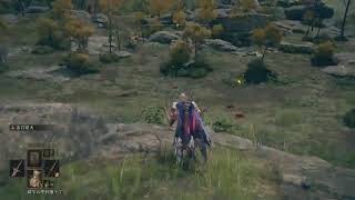 エルデンリング　2周目　プレイ記録ライブ#60