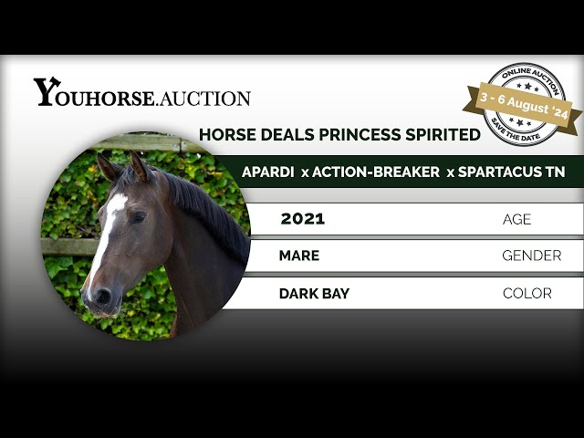 Horse Deals Princess Spirited
