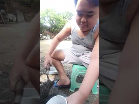 Razee in 3 minutos (little Plantito)