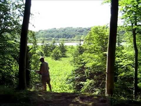 Faksinge skov ved Præstø