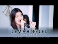 LEMAH TELES VIRA LOVIE JANDHUT VERSION TOMY FEBRI DAVIZ PRO AUDIO