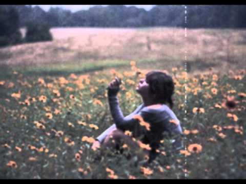 Sunsets video