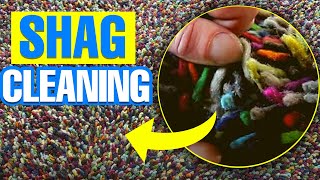 How to Clean a Shag rug | Secrets of Shag Rug Cleaning