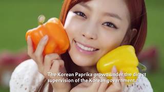 K-FOOD 홍보(CF) KARA(카라)_English