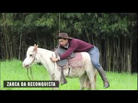 LOTE 09 - ZARCA DA RECONQUISTA