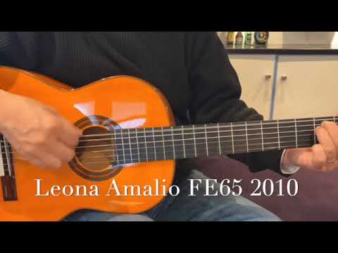 Leona Amalio FE65 2010 image 13