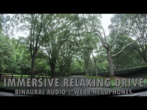 Immersive Relaxing Drive - Milton, GA - Binaural Audio - Pt1