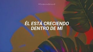 Marina &amp; the Diamonds - Weeds [Sub. Español]