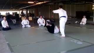 preview picture of video 'Chester County Kokikai - 3rd kyu test on June 5, 2013'