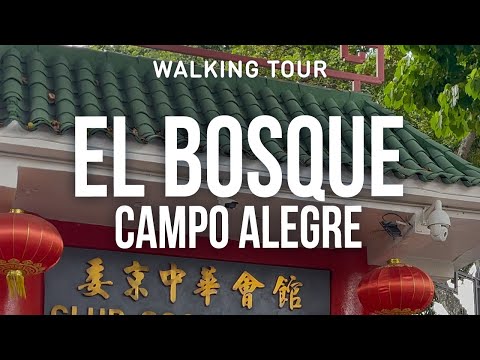 Walking Tour Caracas 🇻🇪: Descubre rincones escondidos en El Bosque y Campo Alegre
