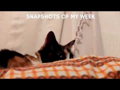 snapshots of my week - 26th june